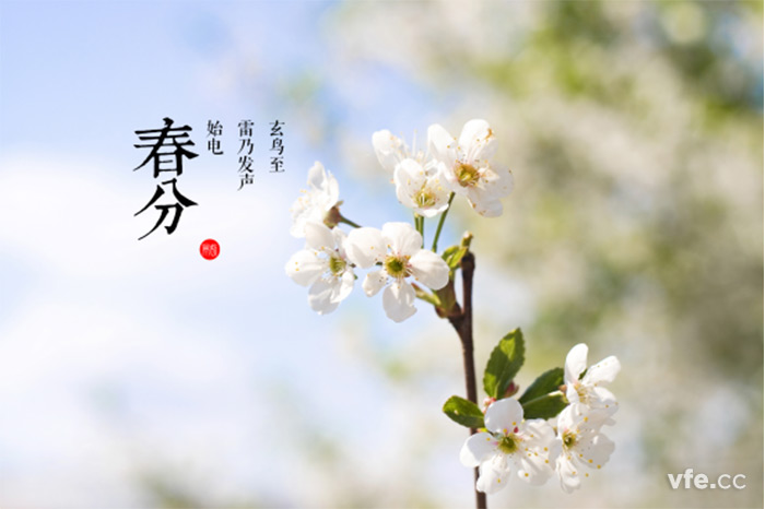 新澳门大门大全