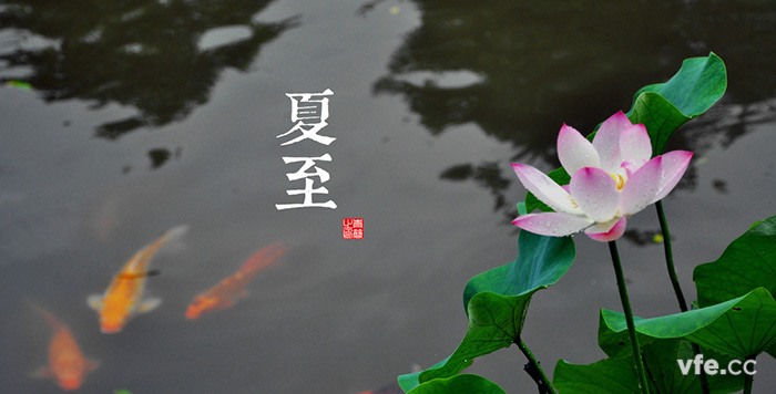 新澳门大门大全