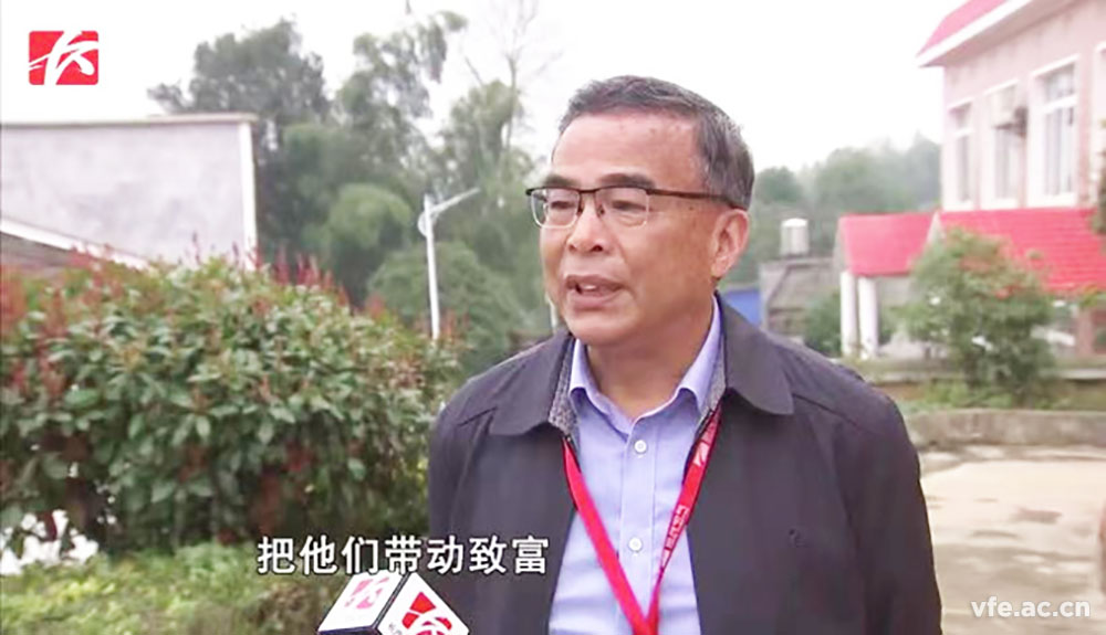 新澳门大门大全
