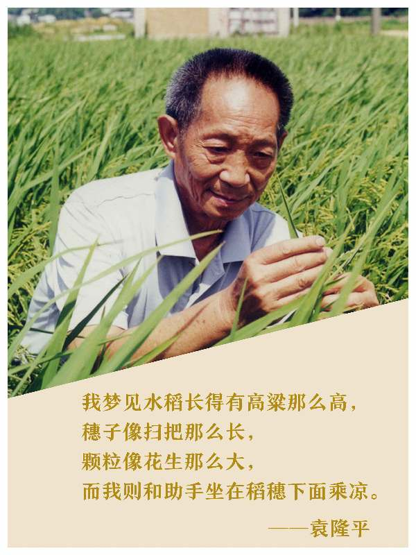 新澳门大门大全
